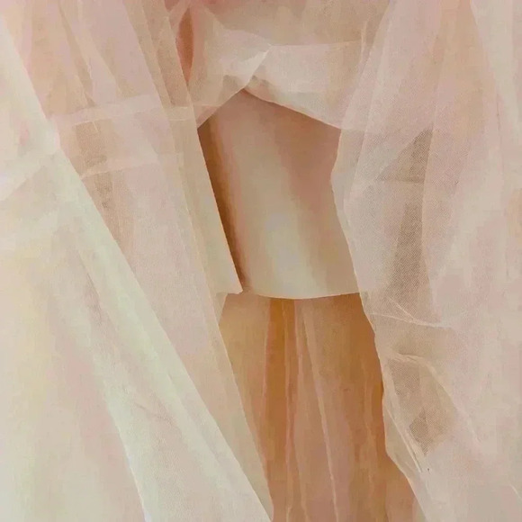 NWT BCBGMAXAZRIA Pink/Mauve Corset Tulle Tier “Taylor Swift” Gown Dress Size 12 - Picture 8 of 16